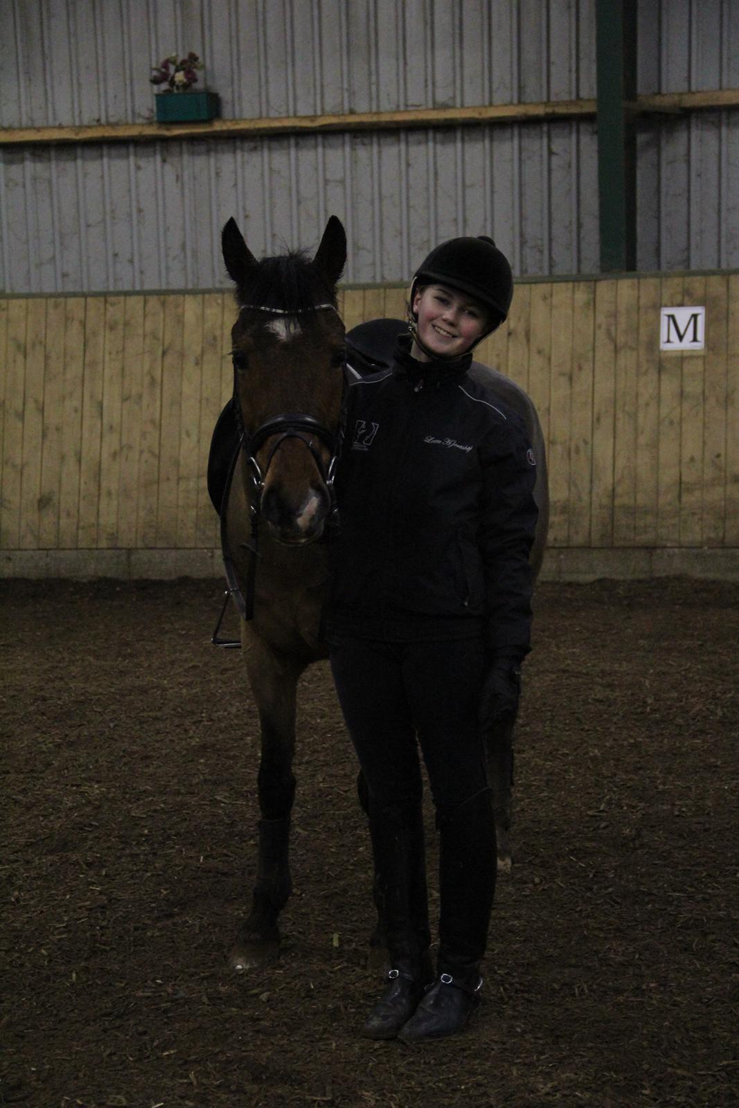 New Forest Fly billede 23