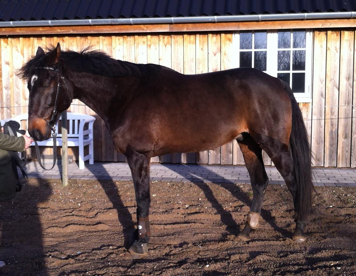 Traver Join The Dream billede 12