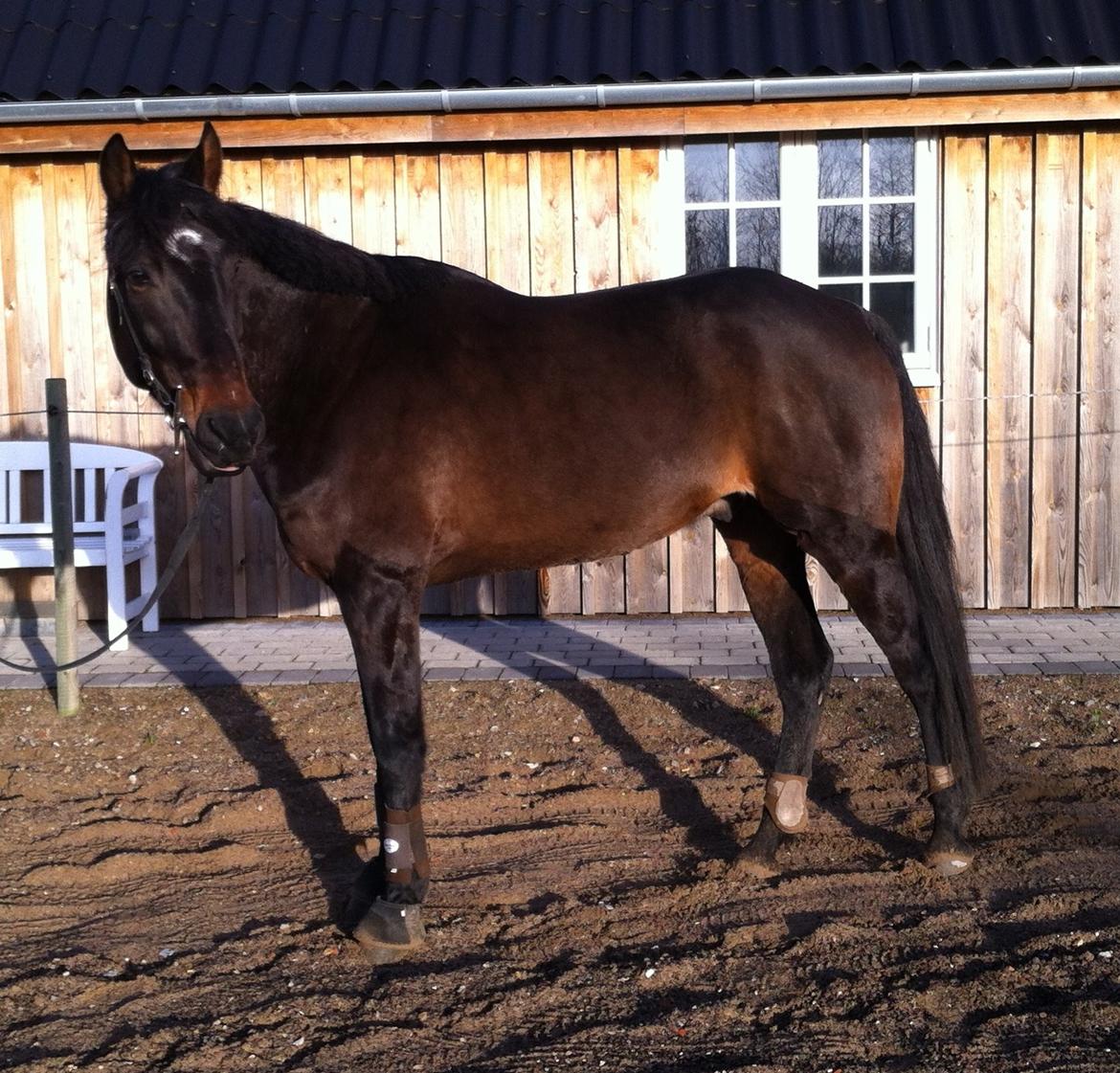 Traver Join The Dream billede 1