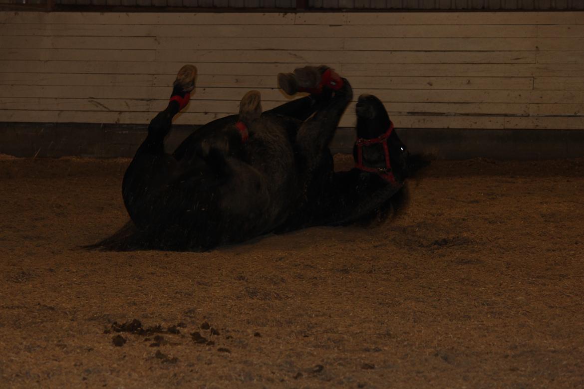 Oldenborg Gaston billede 14