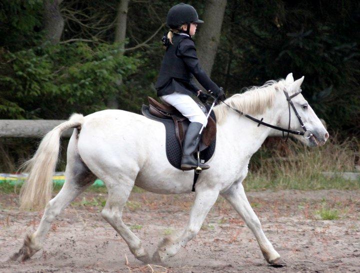 Anden særlig race Lucas billede 25