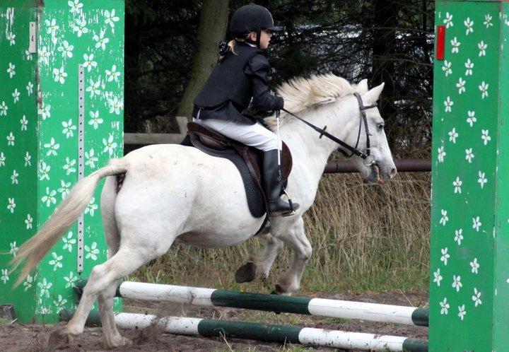 Anden særlig race Lucas billede 26