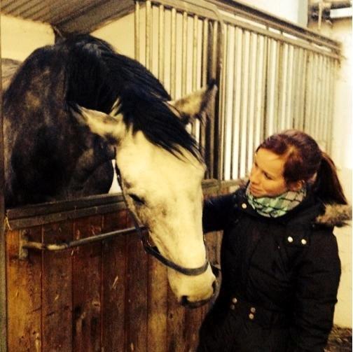 Anden særlig race C.G. Cool Cash billede 7