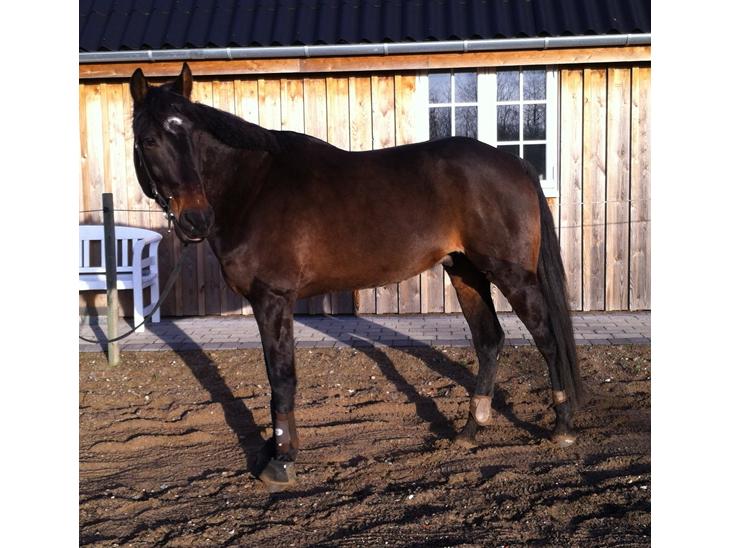 {{currentPhoto.altText}} billede {{currentPhoto.number}}