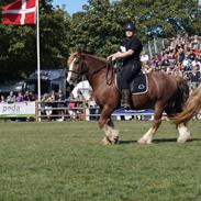 Tinker Morgan The Red