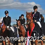 Anden særlig race Victoria Revelhøj