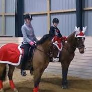 Anden særlig race Victoria Revelhøj