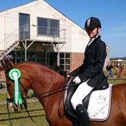 Anden særlig race Victoria Revelhøj