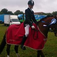 Anden særlig race Victoria Revelhøj