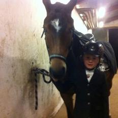 New Forest Stemar´s Blue Eye