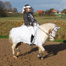 Anden særlig race Bella