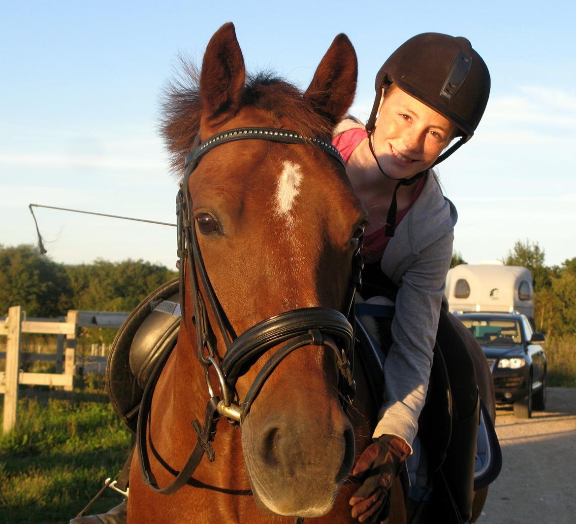 Connemara Quiva <3 - Elskede ponyfyr <3 - August 2013 billede 9