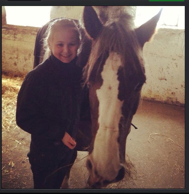 Anden særlig race Krogsgaards Glory billede 17