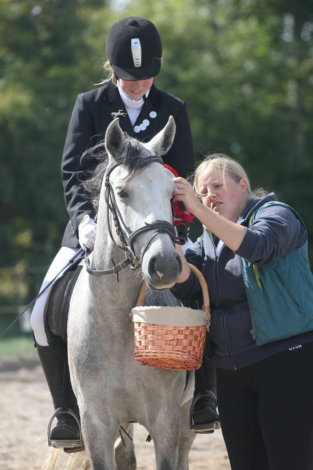 Anden særlig race WHAT A SURPRICE | SP <3 - Præmieoverrækkelse ved dressurcup :-') søøøøde SP 
foto. MHR billede 10