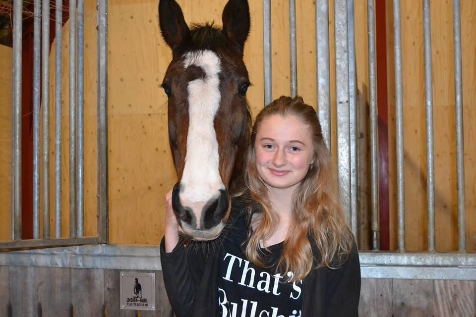 Hollandsk Varmblod Zorbella billede 7