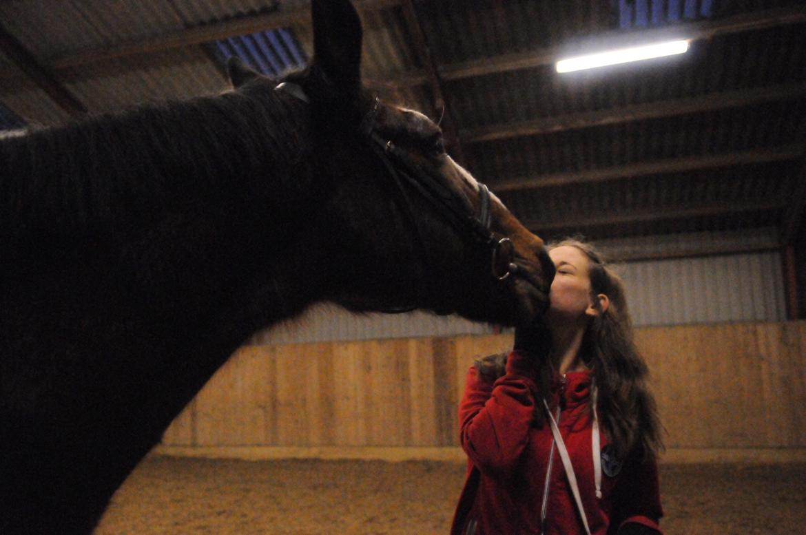 Anden særlig race Don Joka billede 8