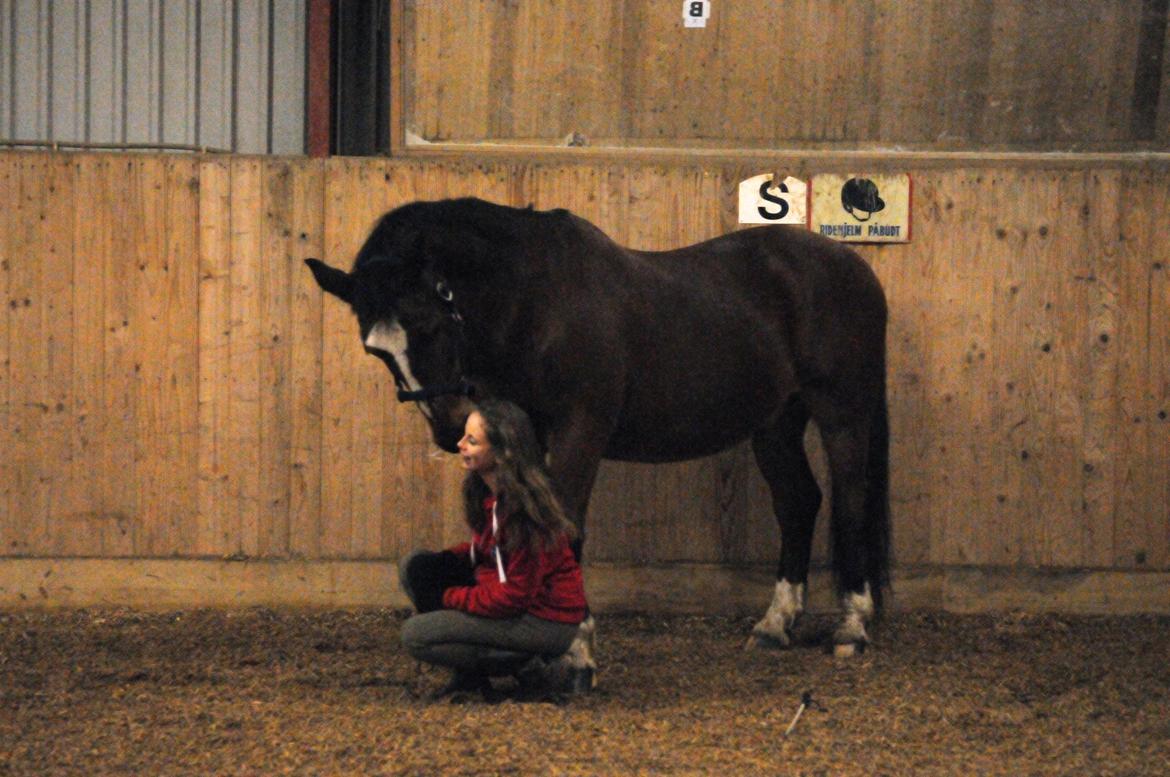 Anden særlig race Don Joka billede 11