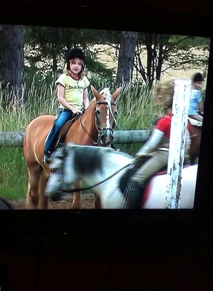 Haflinger Burgi - savnet og elsket - Ridelejr 2007 :p billede 17