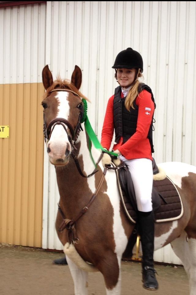 Hollandsk Sportspony Monique (For sale) billede 4