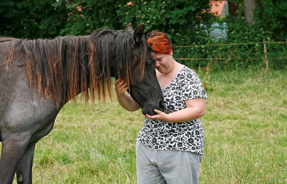 Tennessee Walker Sparkling Blue Nell - Nelly  2 år og 2 mdr. d. 29/6 2012. billede 20