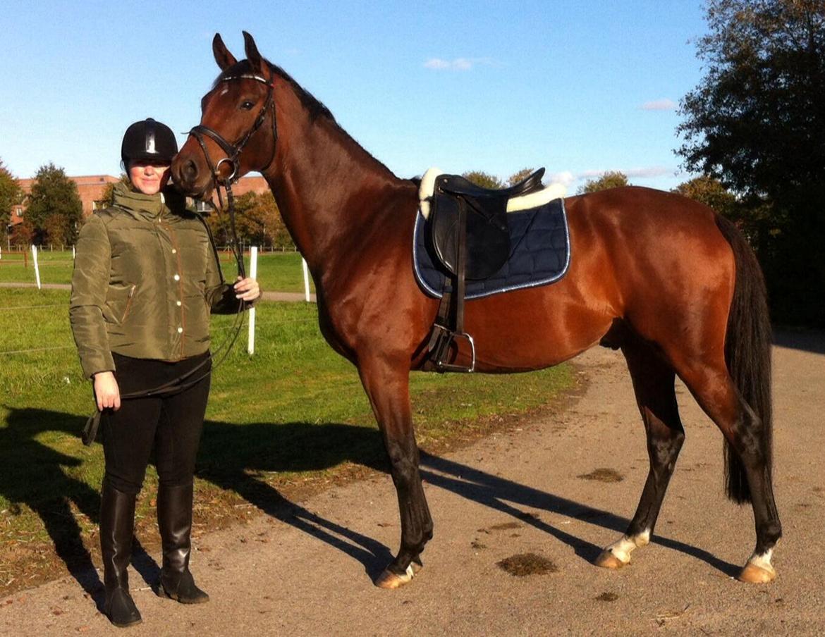 Dansk Varmblod Sandor - Det fine vejr indbød til udendørs ridetur.  billede 5