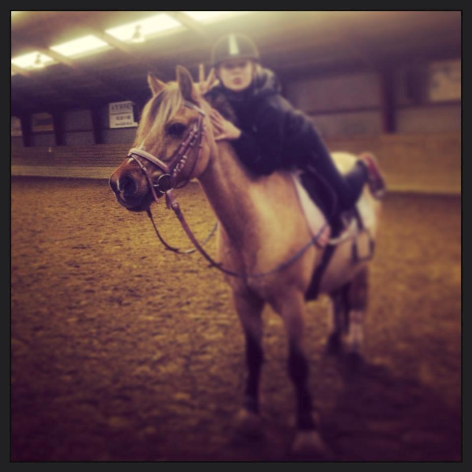 Anden særlig race Kontra billede 10