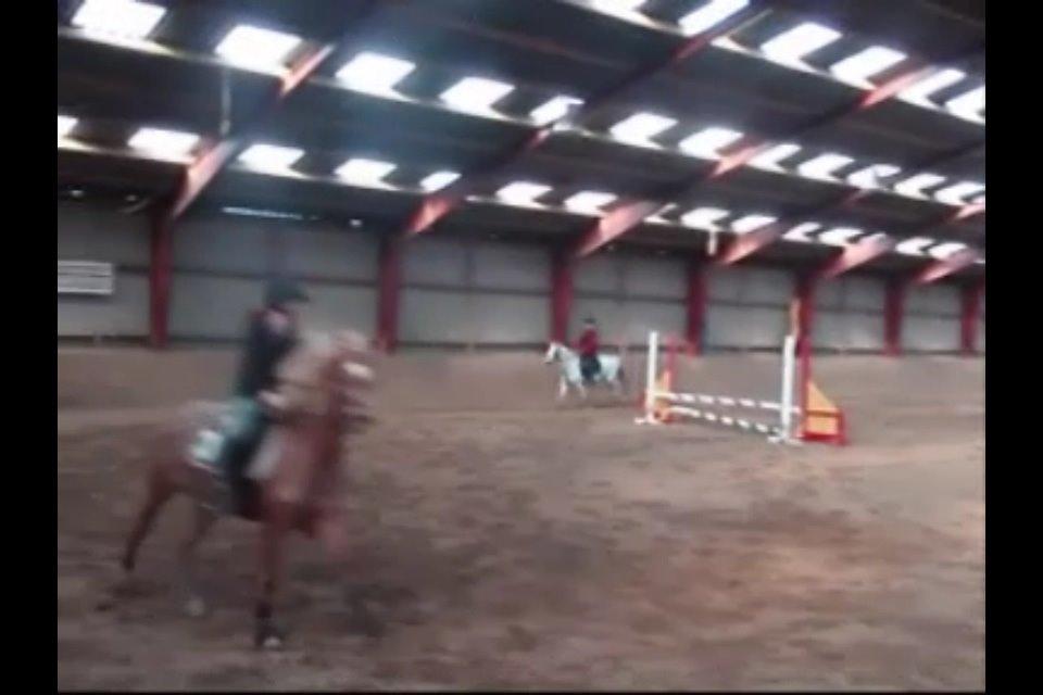 Welsh Pony (sec B) DORYELLA †Sov Sødt† - Springtræning 2011, i galop.<3 (Undskyld kvaliteten. billede 3