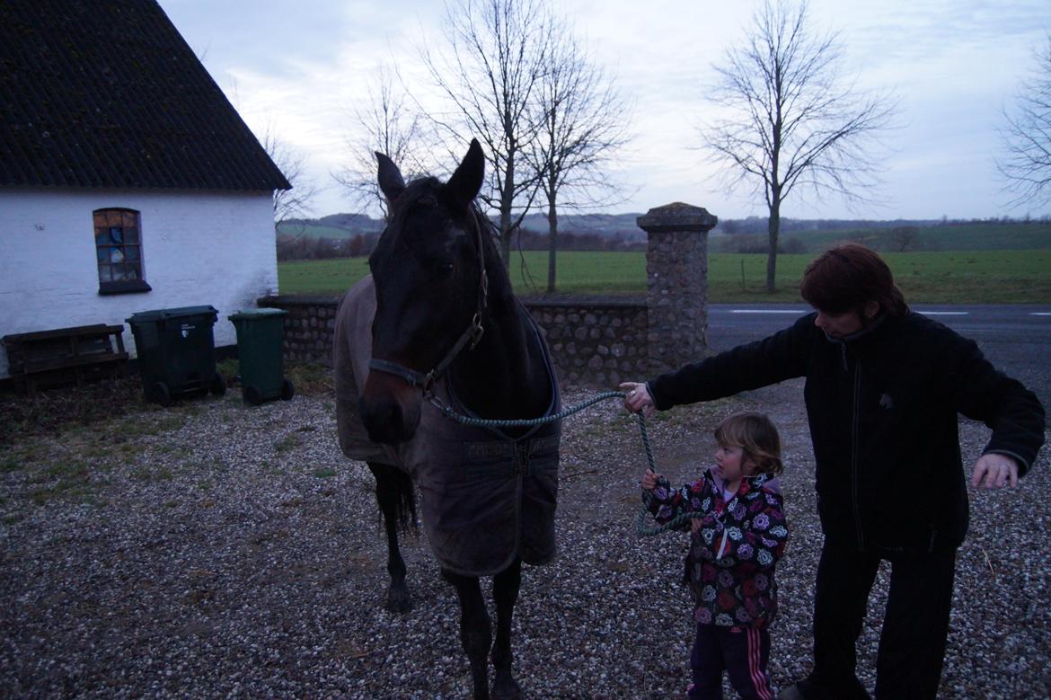 Traver Walkabout - Walkabout og min datter den 4 januar 2014 billede 21