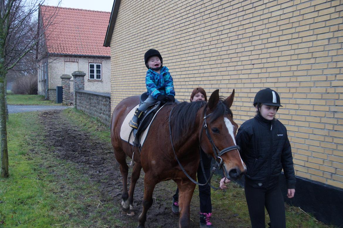 Traver Dupont - Duopnt med min søn på ryggen,den 5 januar 2014 billede 20