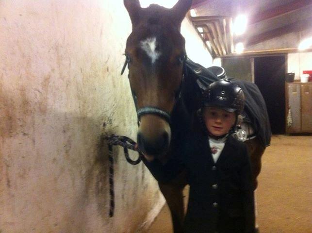 New Forest Stemar´s Blue Eye billede 3