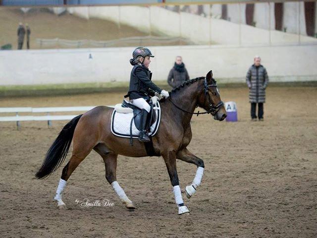 New Forest Stemar´s Blue Eye billede 5