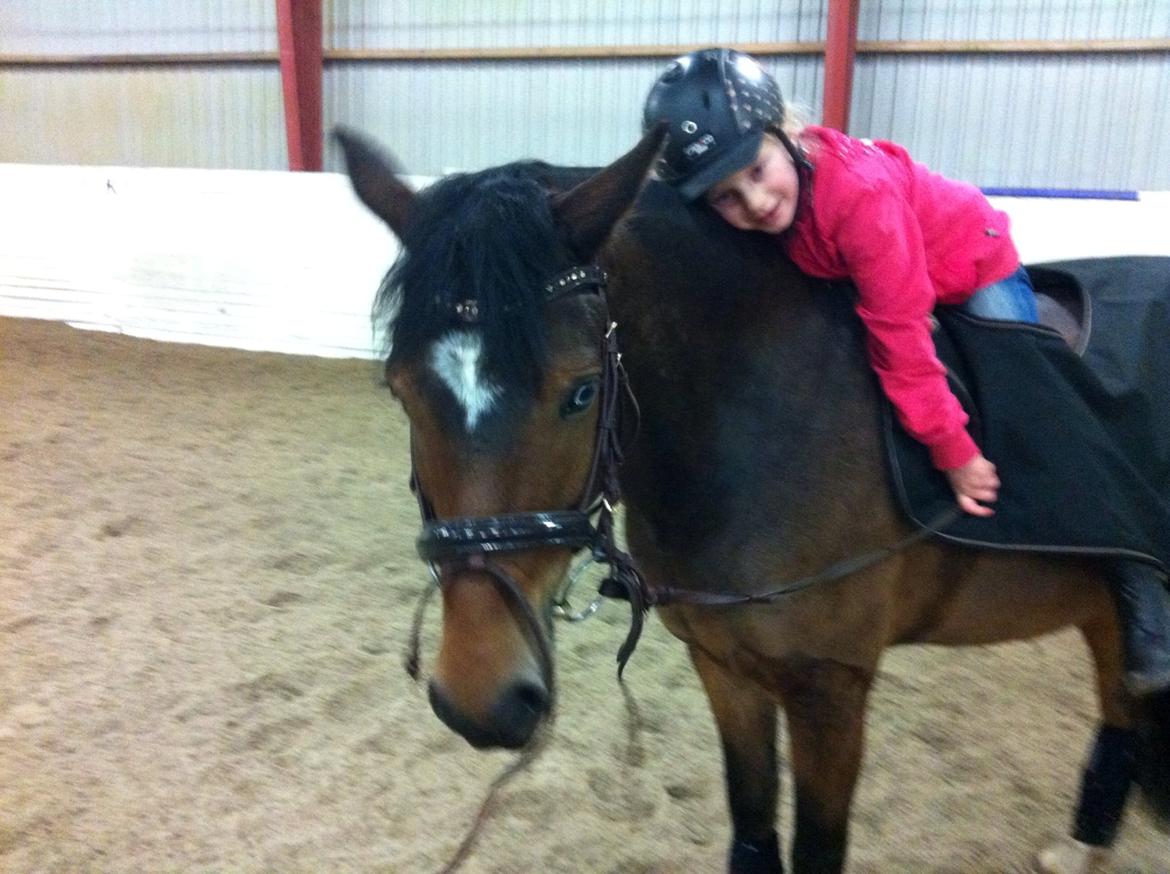 New Forest Stemar´s Blue Eye billede 7