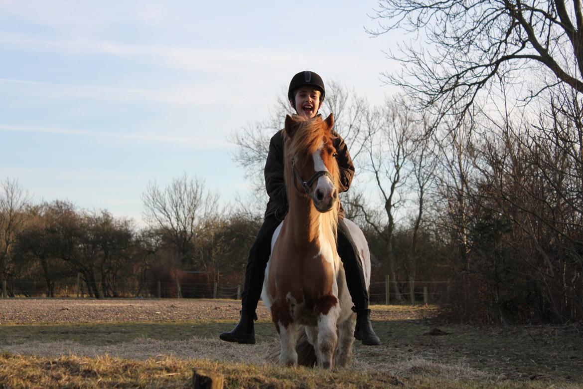 Anden særlig race Lolli billede 1