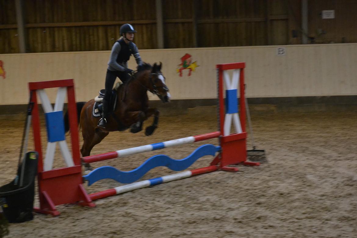 DSP Passion *palle* (skadet) - Spring undervisning af Michael Ladegaard :D  billede 24