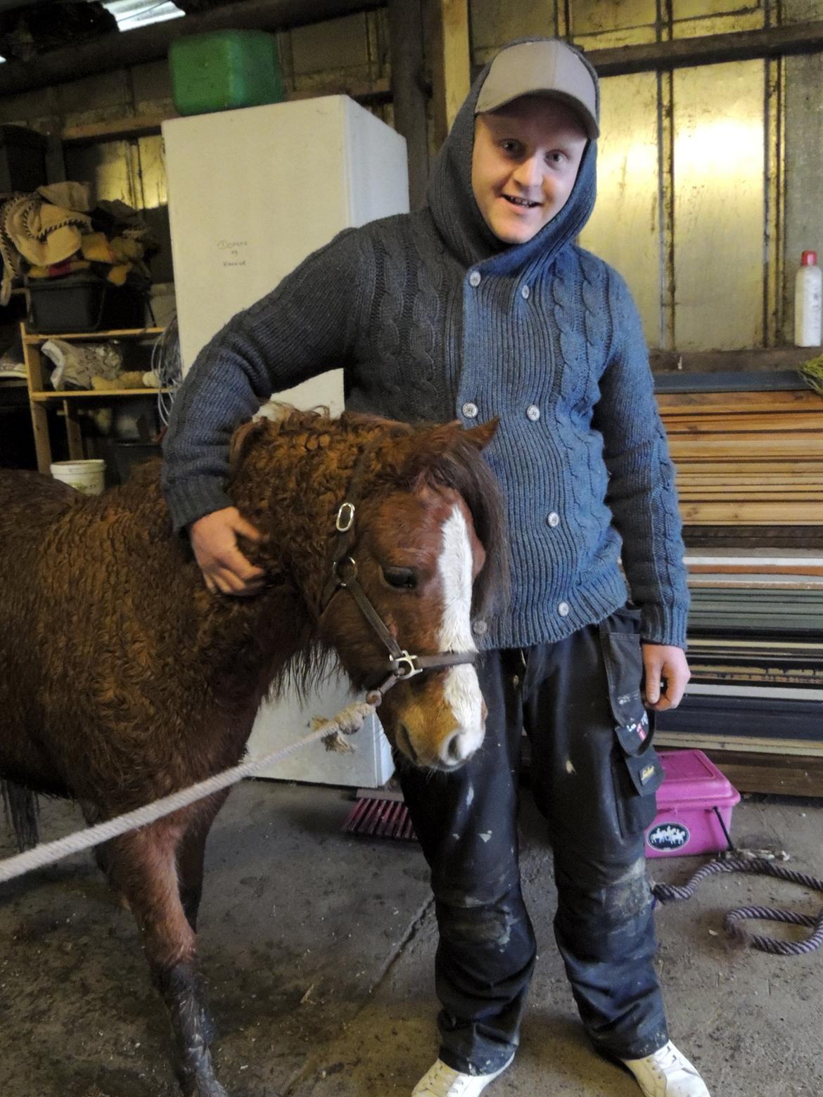 Welsh Pony (sec B) Stenhedegårds Joker billede 1