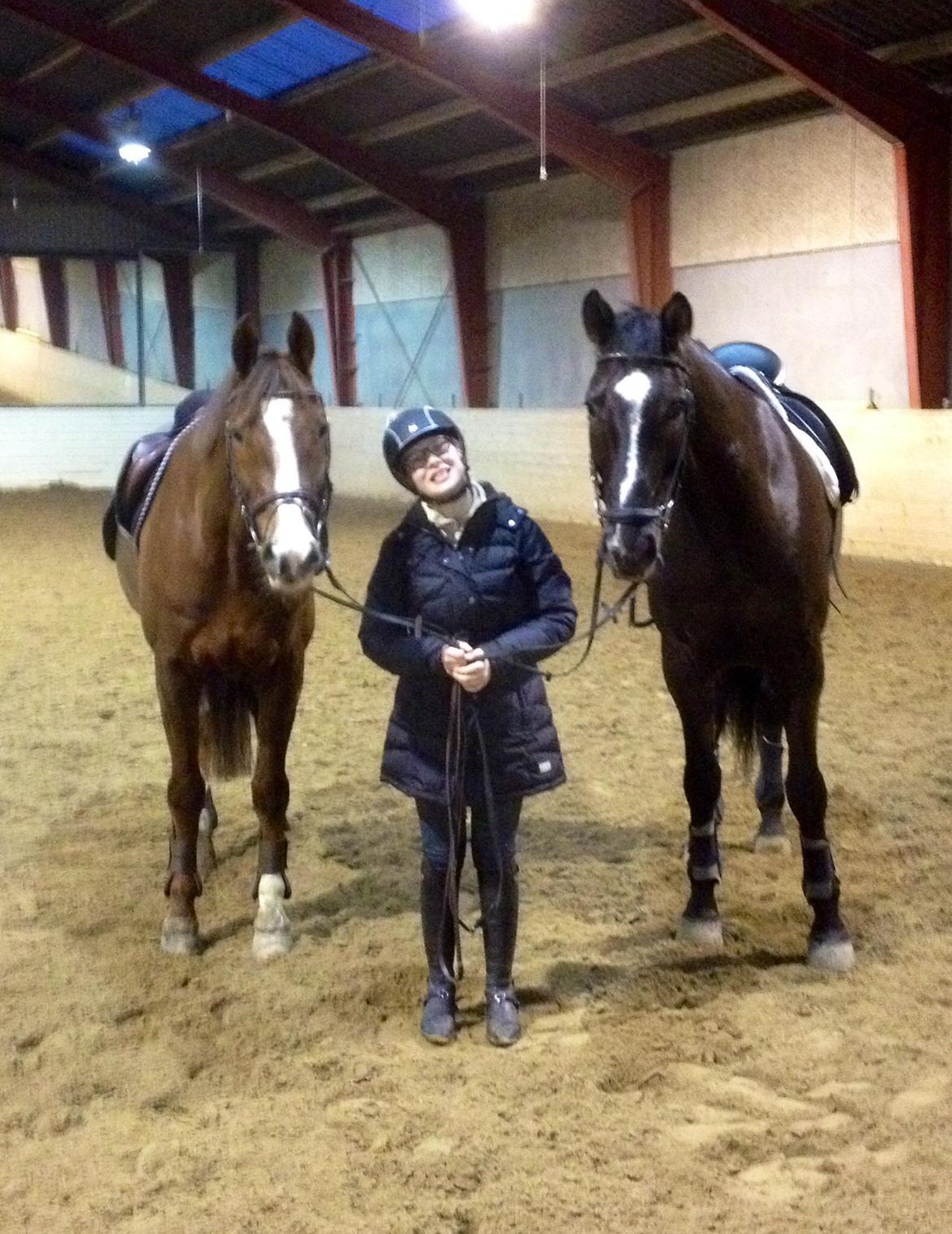 Dansk Varmblod Hyggebo's Fuego billede 19