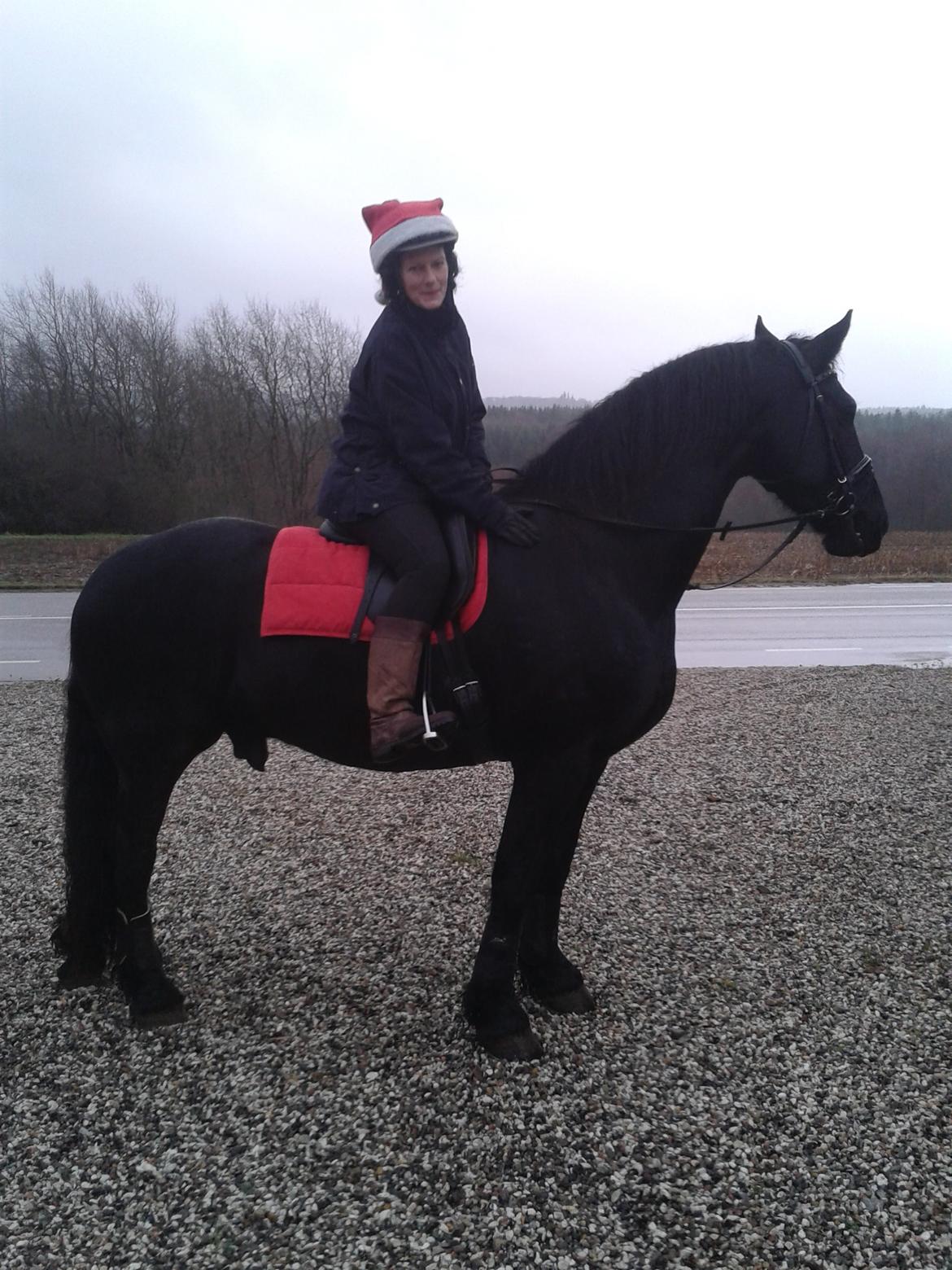 Frieser Quinzi - Nisserne var på ridetur jul 2013 :-) billede 22