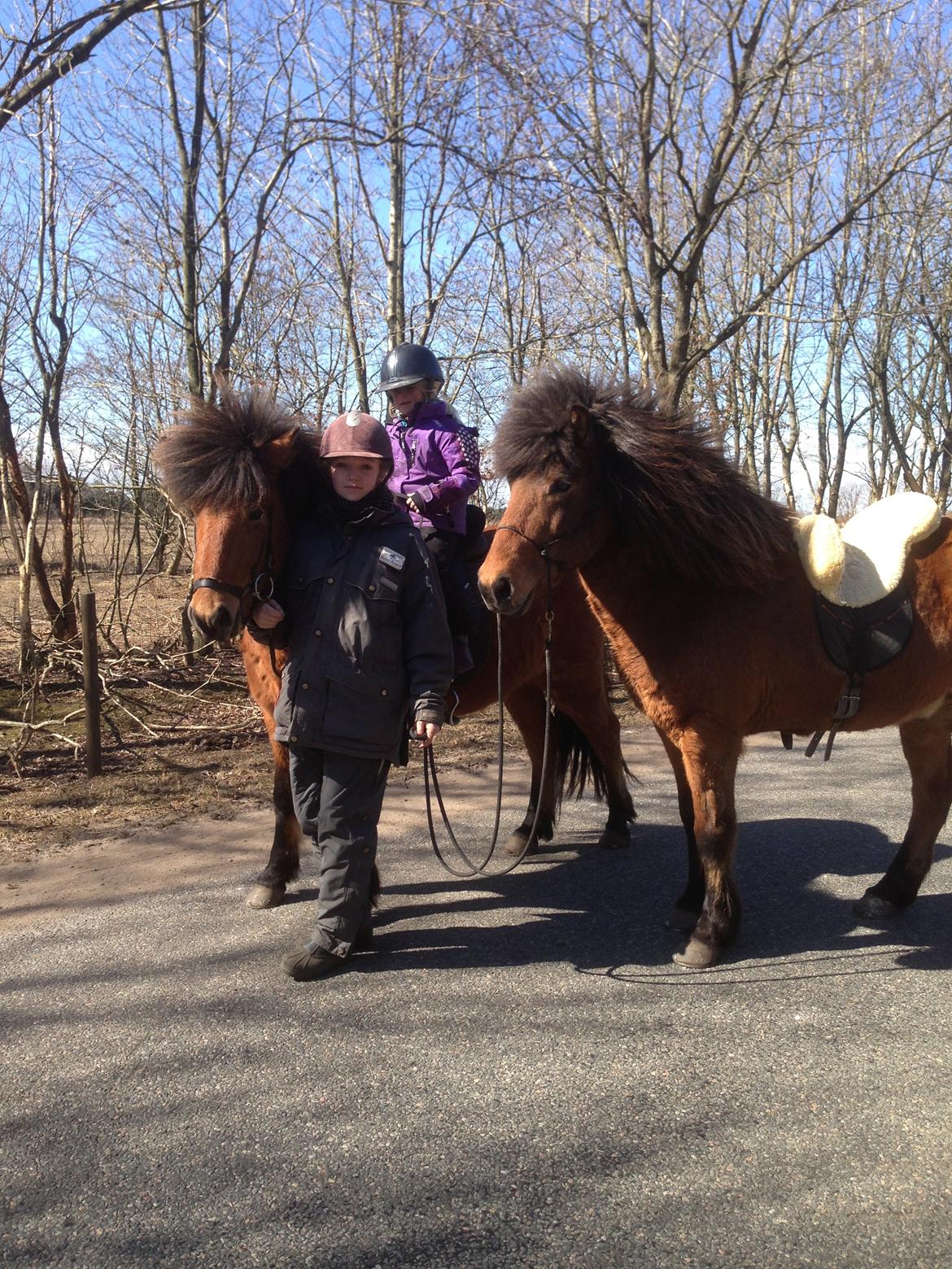 Islænder Flakkari lunakilde - Trine og Augusta på tur i forår 2013 på Flakkari og Fuglen billede 8