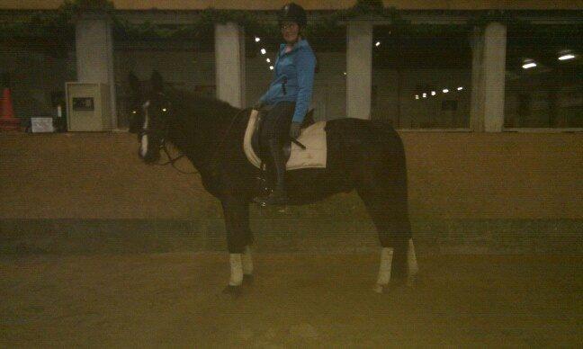 Anden særlig race Armani - Lidt træt efter en hård undervisning  :)
- dårlig kvalitet,beklager billede 9