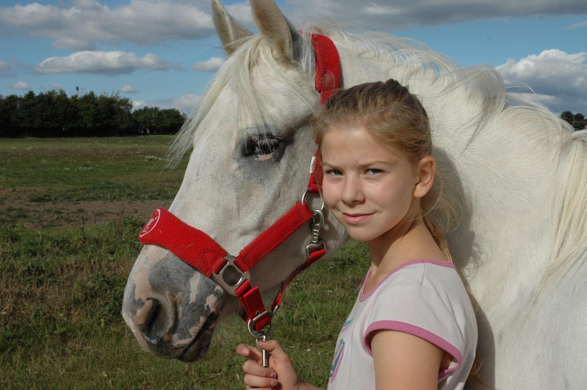 Knabstrupper Kabi <3 {SOLGT} - er ikke den kønneste her på, men Kabi sørger for det hele<3  billede 27