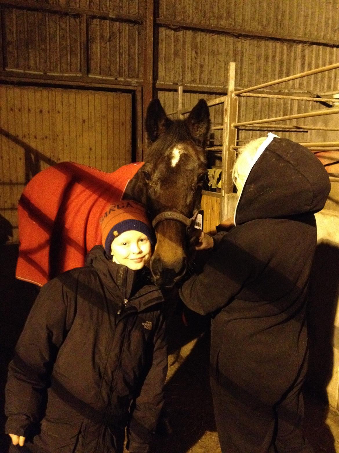 Traver sissel win billede 21