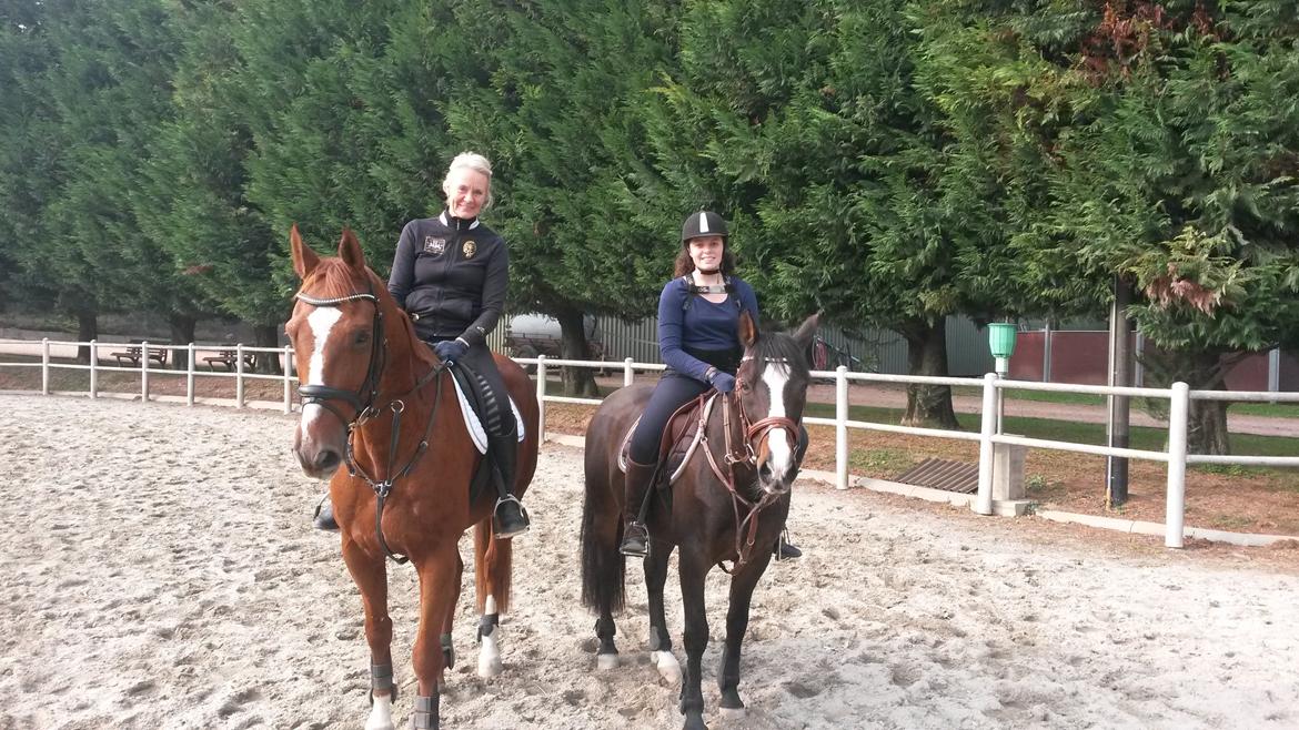 Anden særlig race Mr. Malibou - Malibou og hans nye rytter i Schweiz billede 19