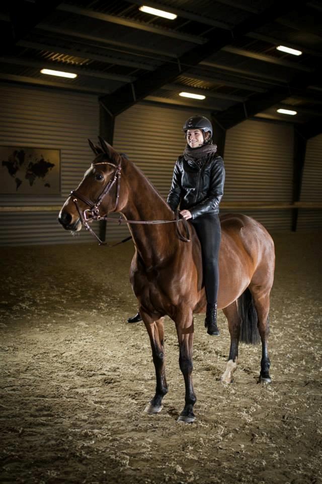 Dansk Varmblod Milans Mini Star billede 6