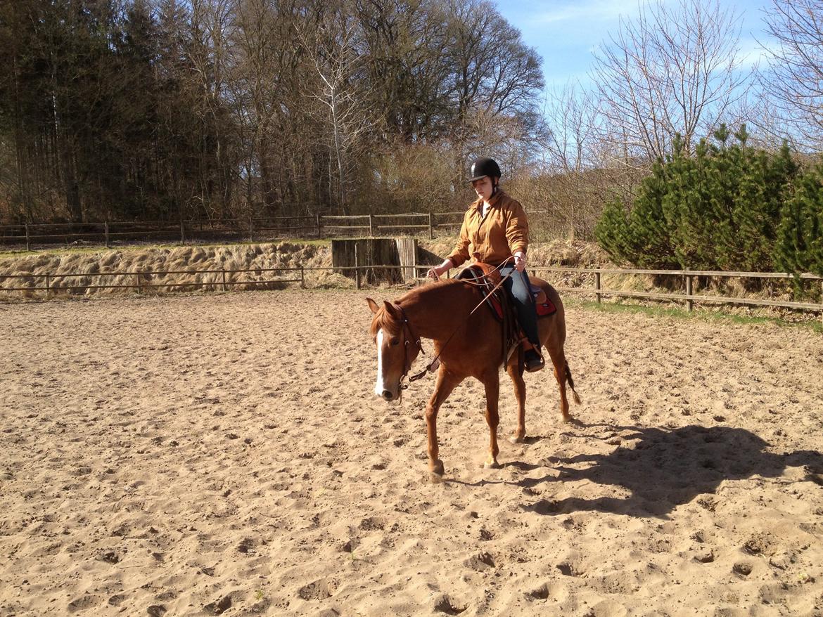 Quarter Fancy Indie Catalyst billede 13