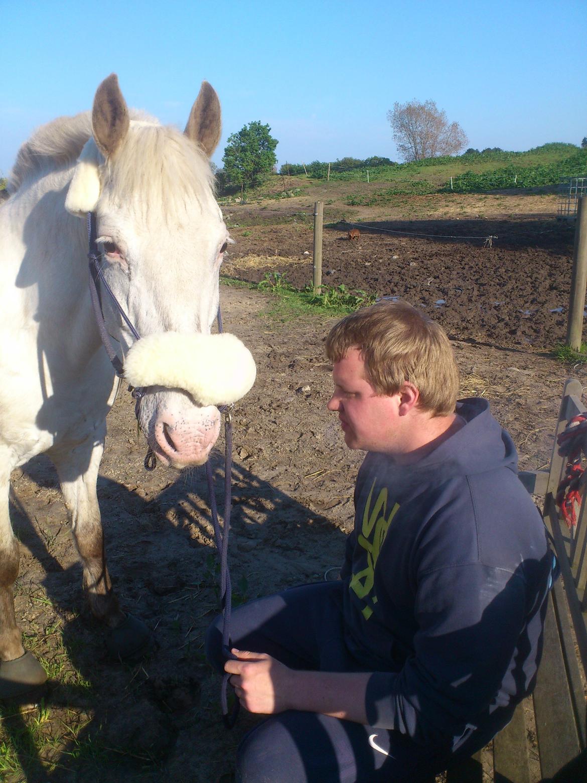 Knabstrupper Simone af lundegaard *MySoulMate! <3* billede 24