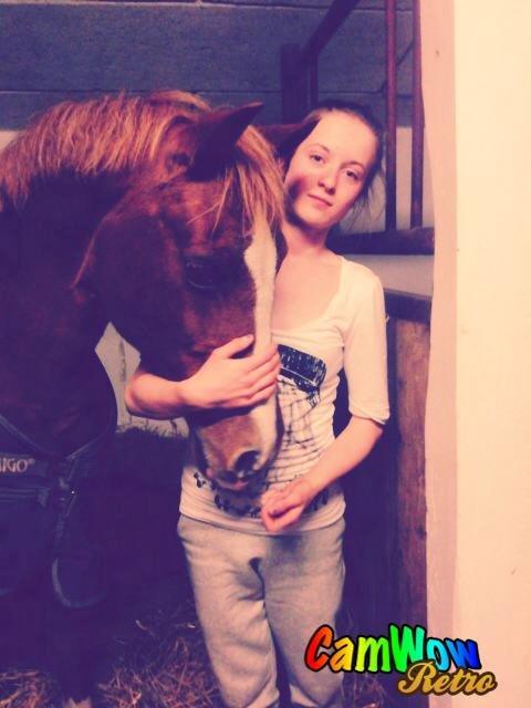 Welsh Cob (sec D) Jet!<3 solgt.. - Søde jet! billede 14