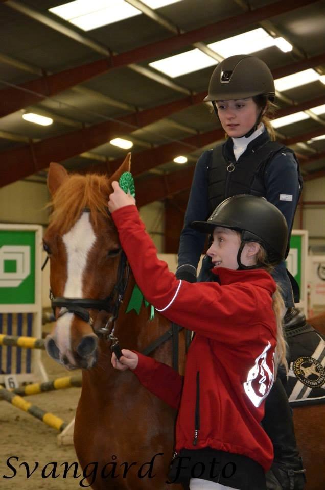 Welsh Cob (sec D) Jet!<3 solgt.. - Skatten! billede 15