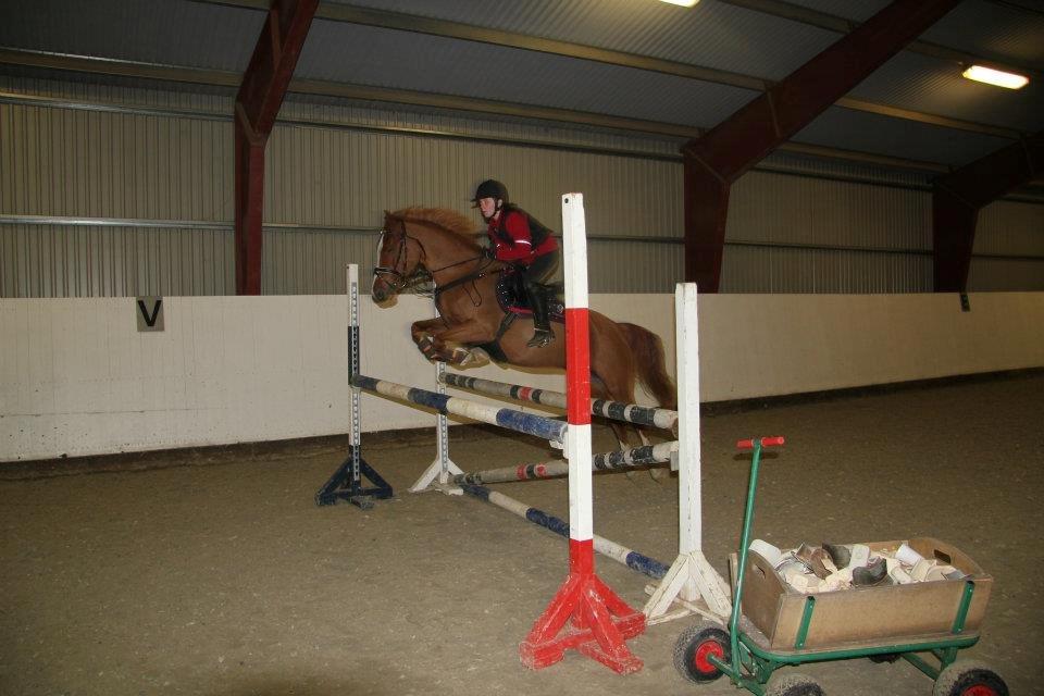 Welsh Cob (sec D) Jet!<3 solgt.. - Undervisning sidste vinter! :D billede 16