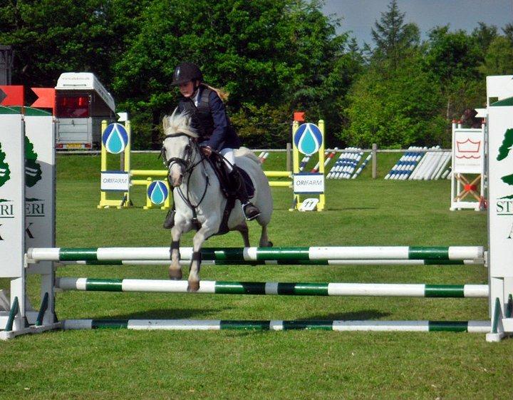 Welsh Pony (sec B) Stendyssen´s sunglimps <3 - Sydjysk 2011! billede 17