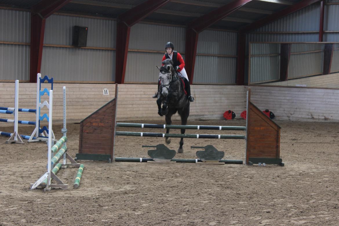 Holstener Ammeli billede 6